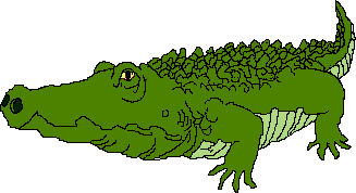 Clip Art Alligator Image Download Png Clipart