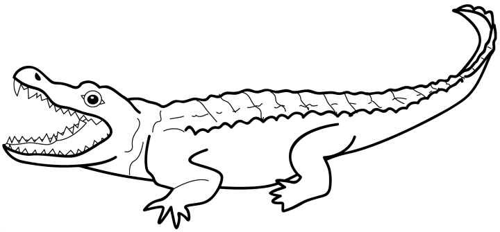 Alligator Black And White Hd Image Clipart
