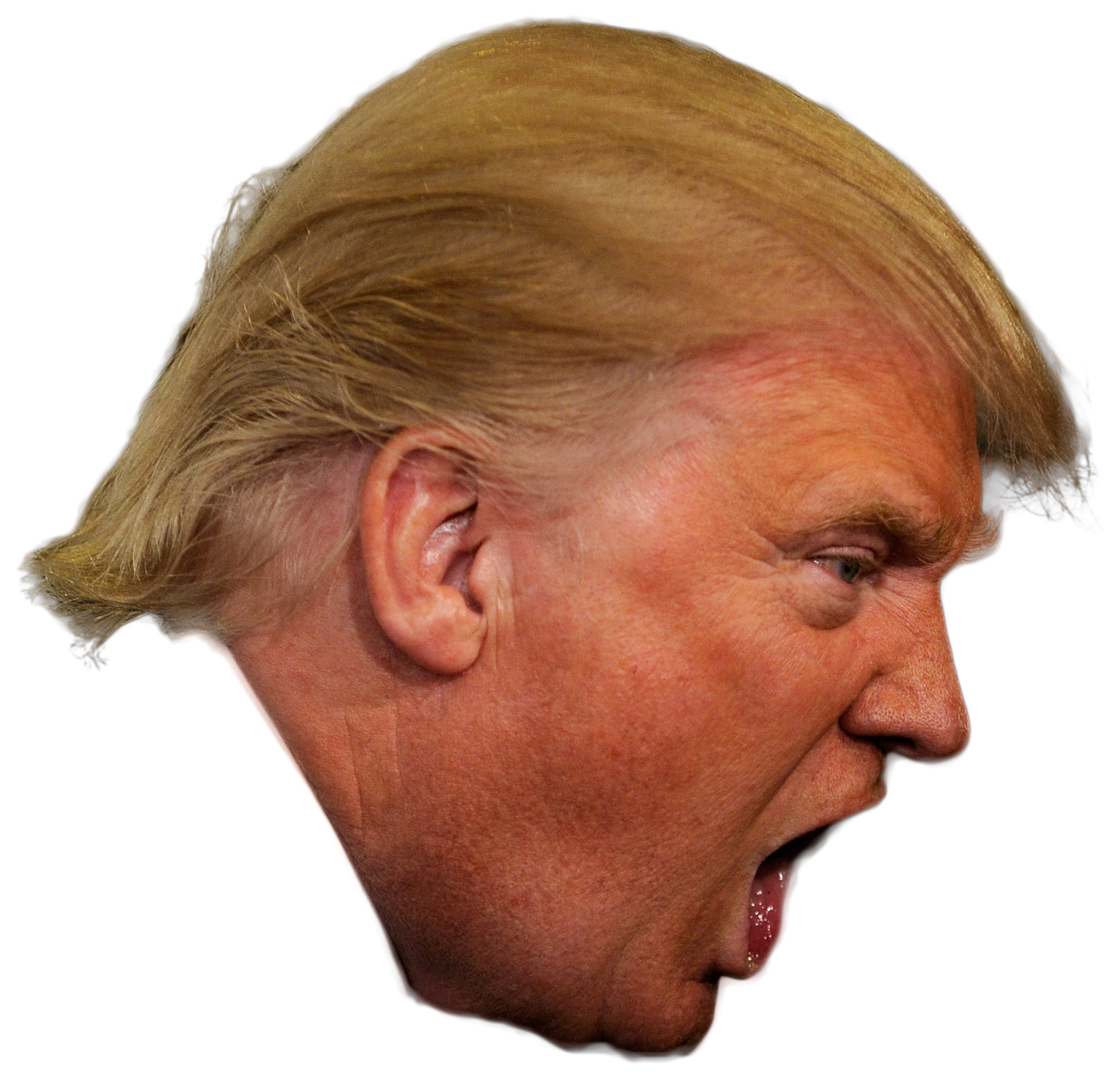 United Trump Of Politics Jong-Un States Donald Clipart