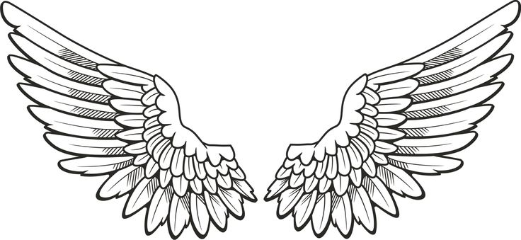 Angel Wing Vector Of Angel Wings Tattoo Clipart