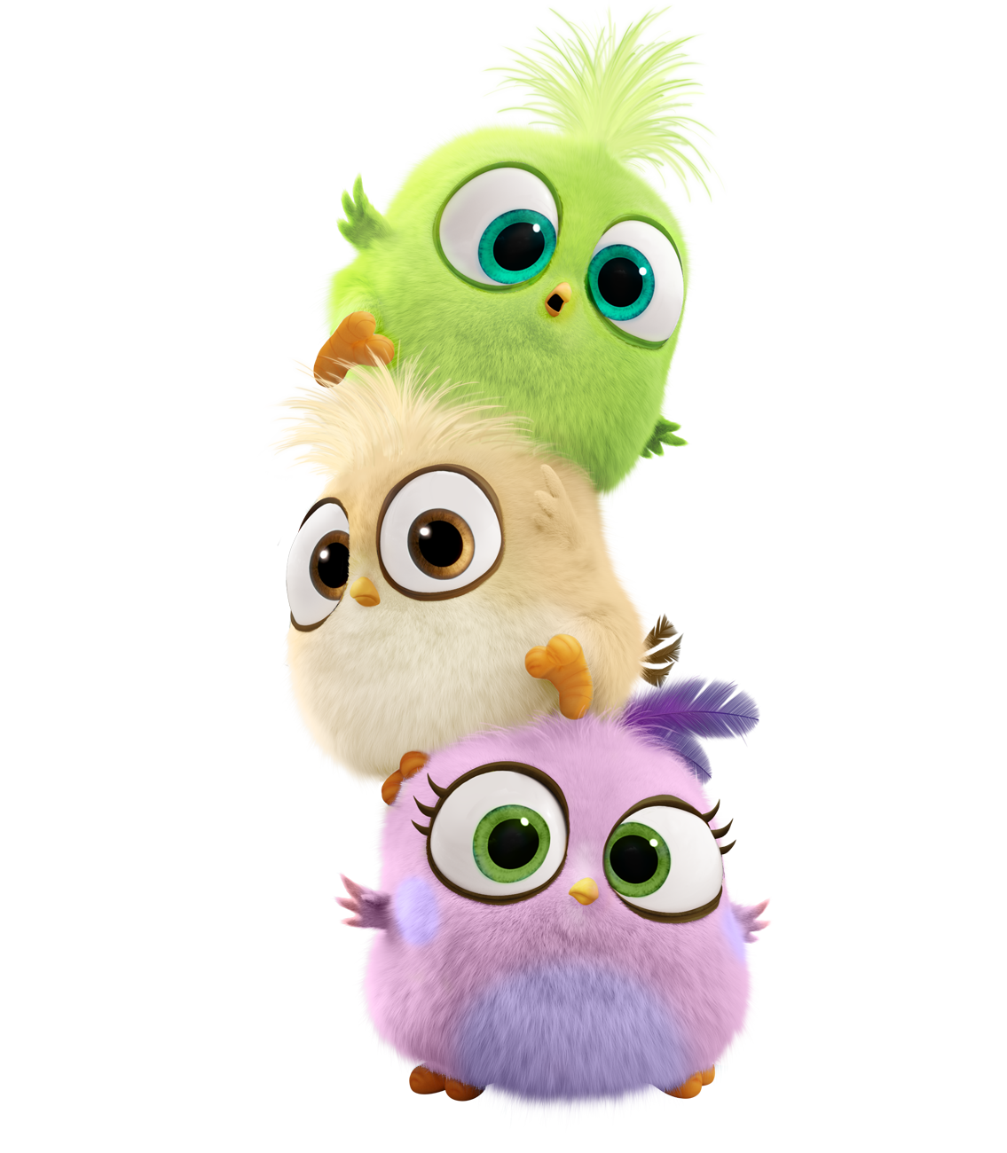 Hatchlings Movie Angry Bird Rio Bad Piggies Clipart