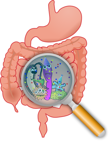 Party In The Intestines Clipart