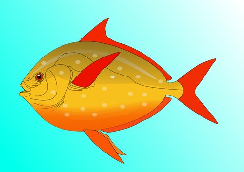 Fish Art Clipart