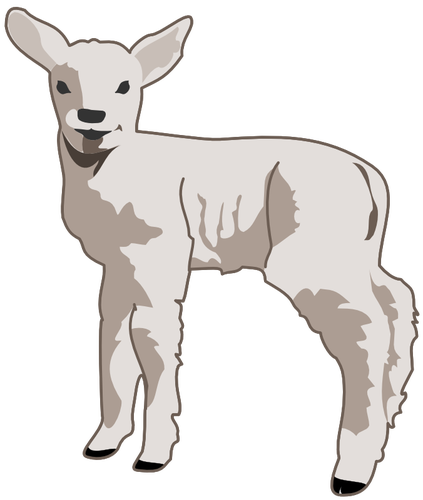 Young Lamb Art Clipart