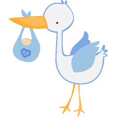Baby Boy Stork Download Png Clipart