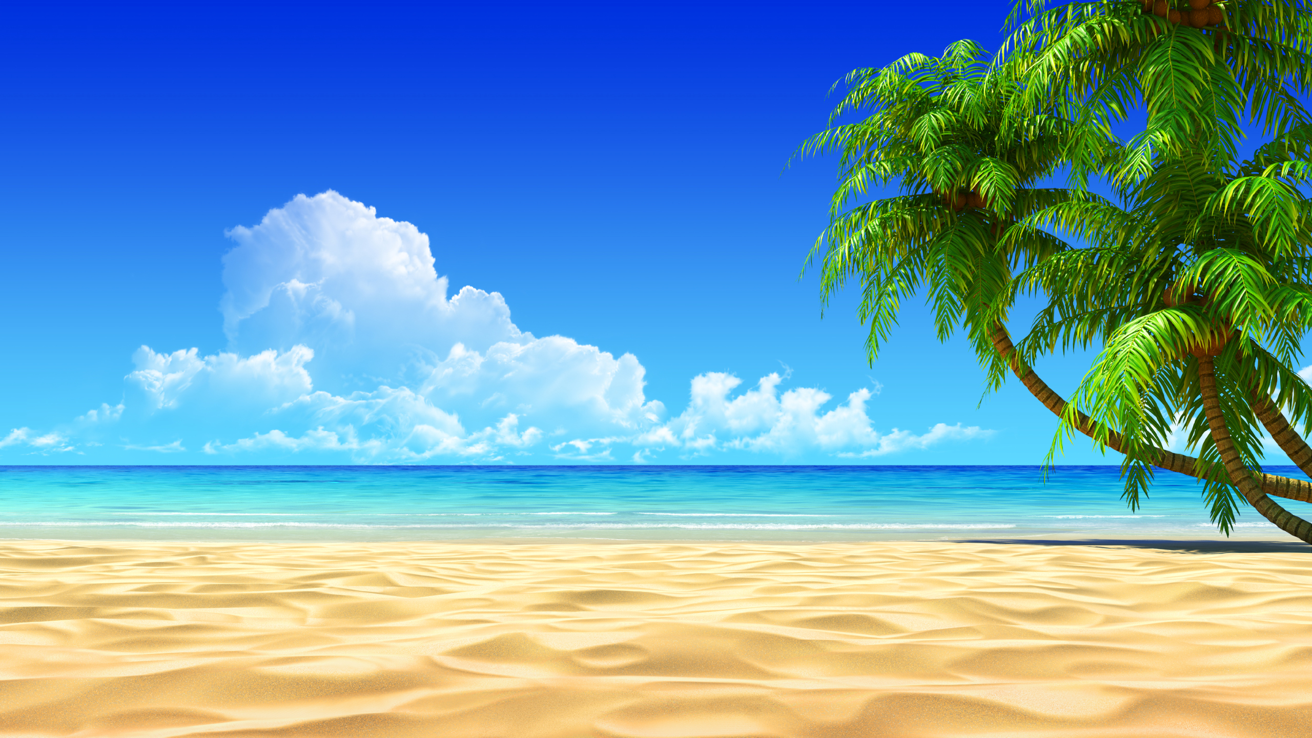 Summer Beach Image Png Images Clipart