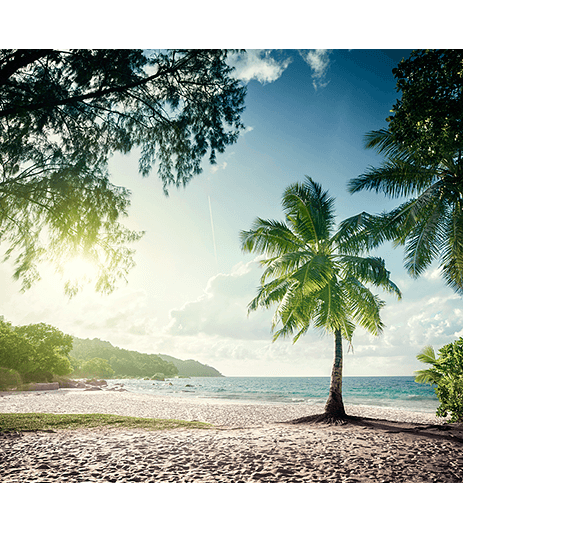 February Seychelles Lazio Mahé, Photography 14Th Beach Clipart