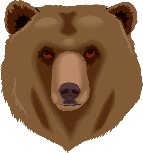 Grizzly Bear'S Head Clipart