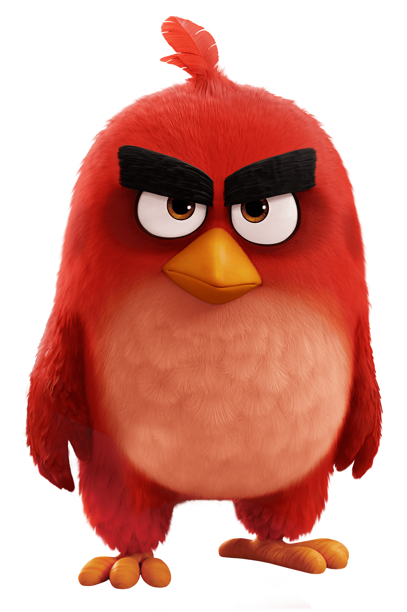 Pop! Star Movie Angry Wars Bird Transparent Clipart