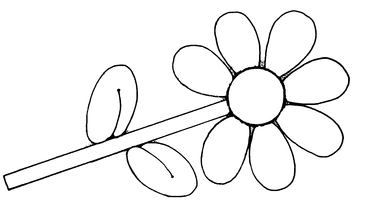 Flower Black And White Com Hd Image Clipart