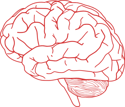 Brain At Vector Png Images Clipart