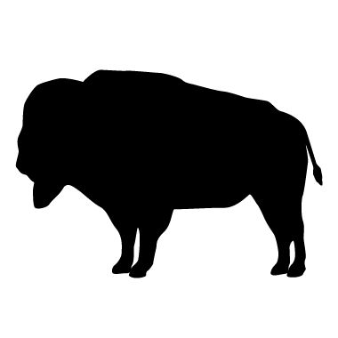 Buffalo Silhouette Kid Download Png Clipart