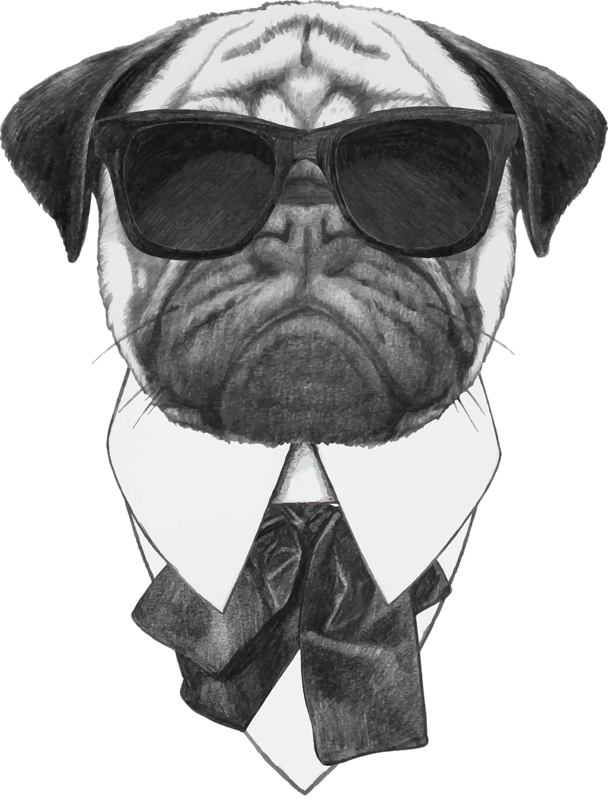 Sunglasses Photography Pug Dog Illustration Stock Cool Clipart