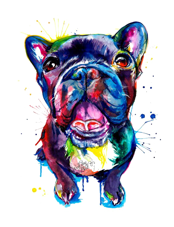 Download Bulldog Pug Dog French Pet Bull Pit Clipart PNG Free