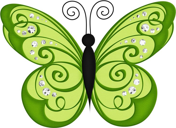 Images About Transparent Butterfly On Png Images Clipart