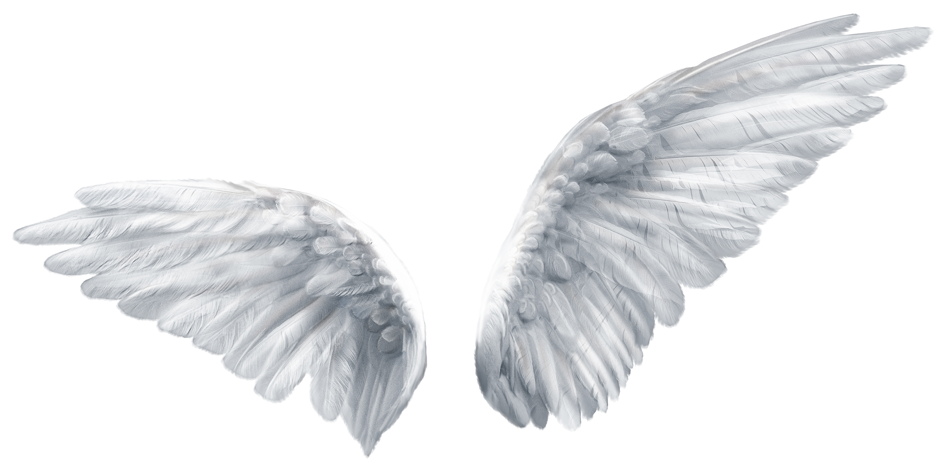 Butterfly Wing Angel Wings Download HD PNG Clipart
