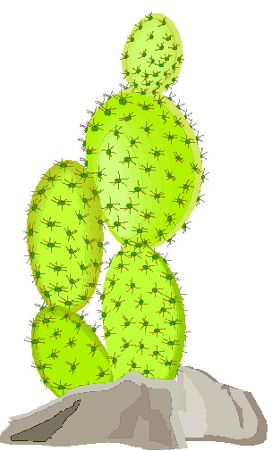 Cactus 2 Image Hd Photos Clipart