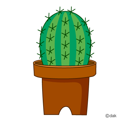 Cactus Images Image Free Download Png Clipart