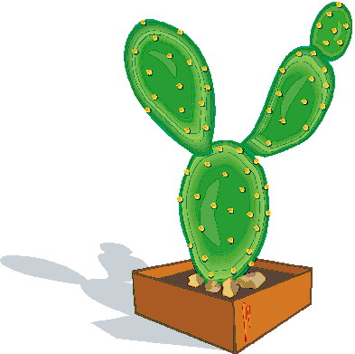 Cactus Transparent Image Clipart