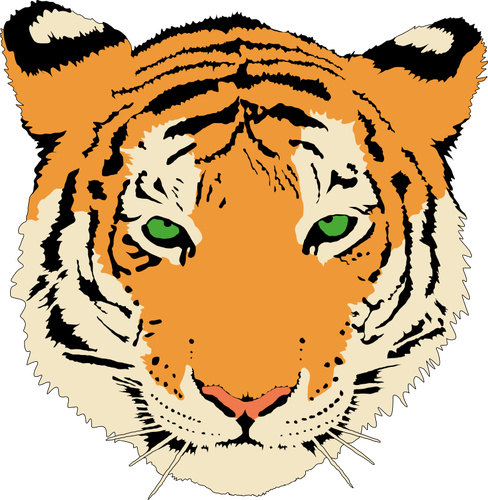 Of Young Tiger'S Head Clipart