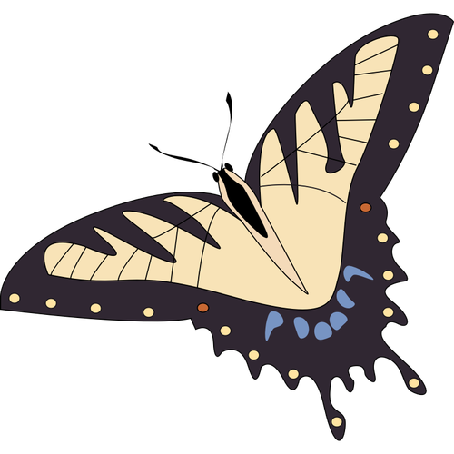 Of Tropical Butterfly Clipart
