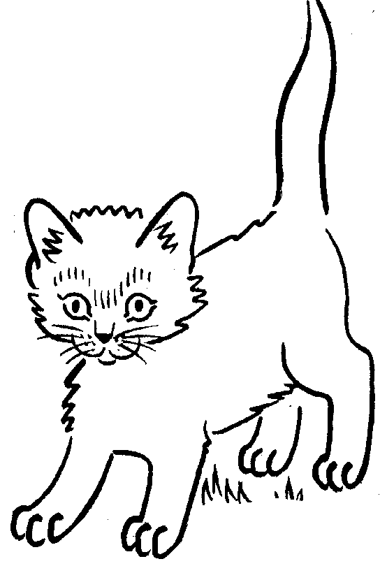 Cat Black And White Images Png Image Clipart