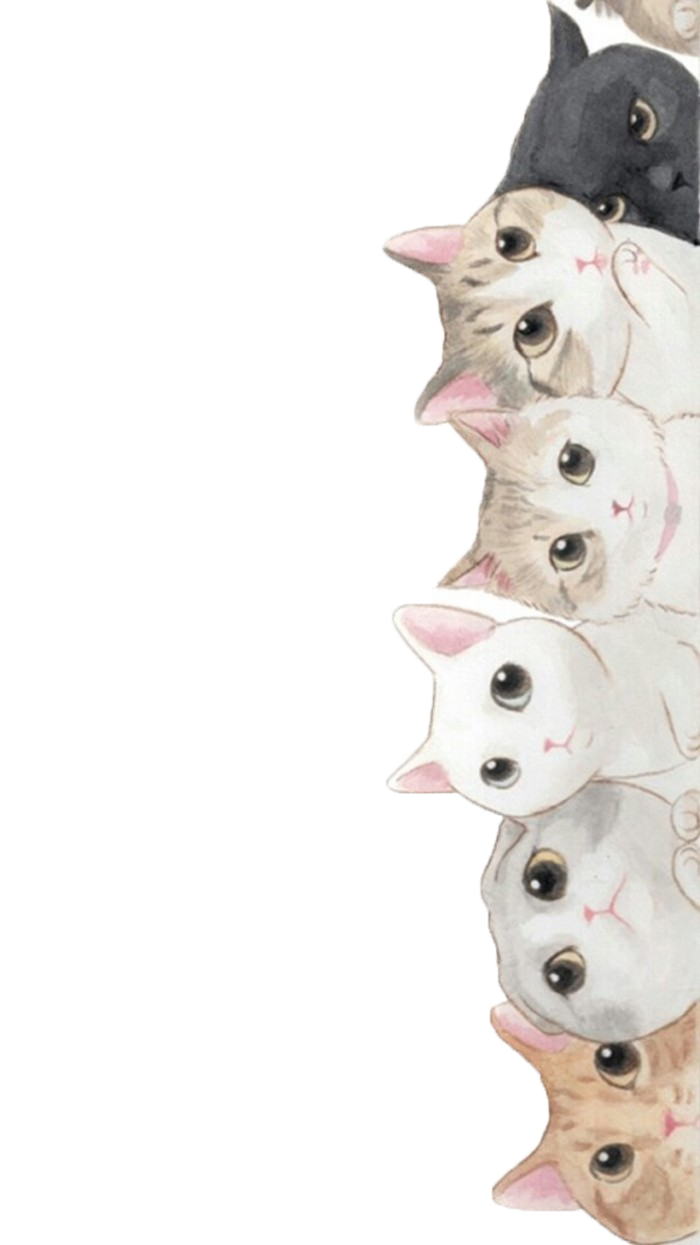 Cute Cat Kitten Cuteness Puppy Wallpapers Clipart