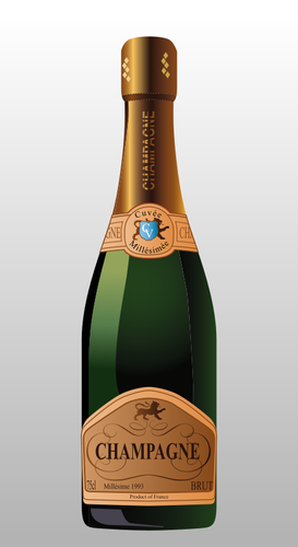 Bottle Of Champagne Illustration Clipart