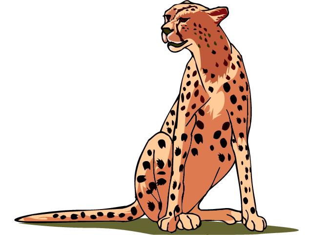 Cheetah Free Download Png Clipart