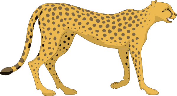 Cheetah Images Png Images Clipart