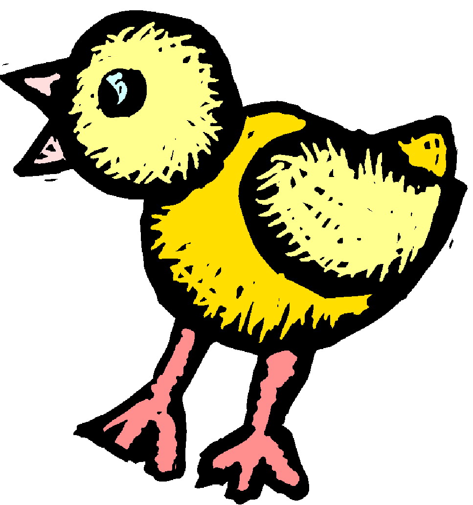 Baby Chick Download Png Clipart