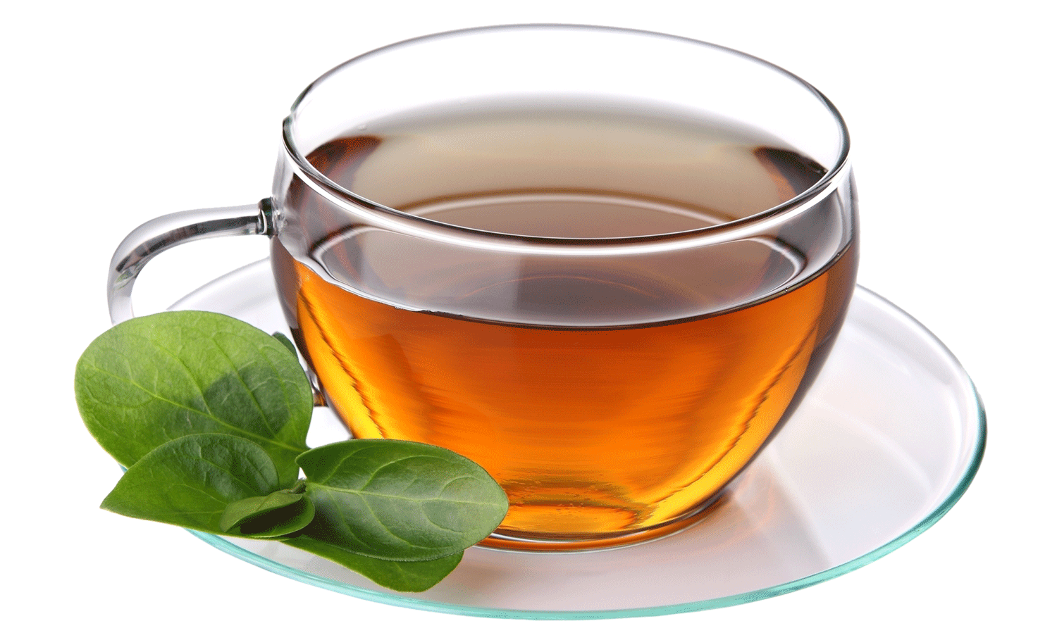 Herbal Tea Coffee Cafe Green Free Photo PNG Clipart