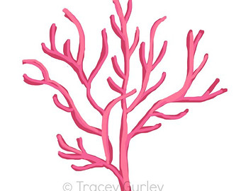 Coral Png Images Clipart