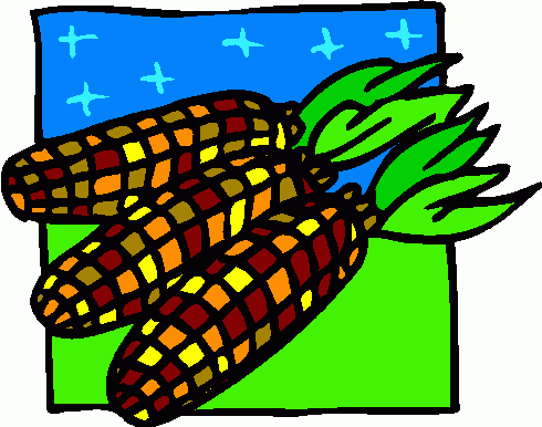Indian Corn Indian Corn Hd Image Clipart