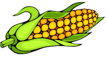 Corn For You Free Download Png Clipart