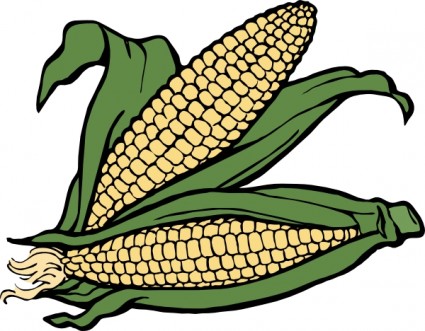 Corn Vector In Open Office Drawing Svg Clipart