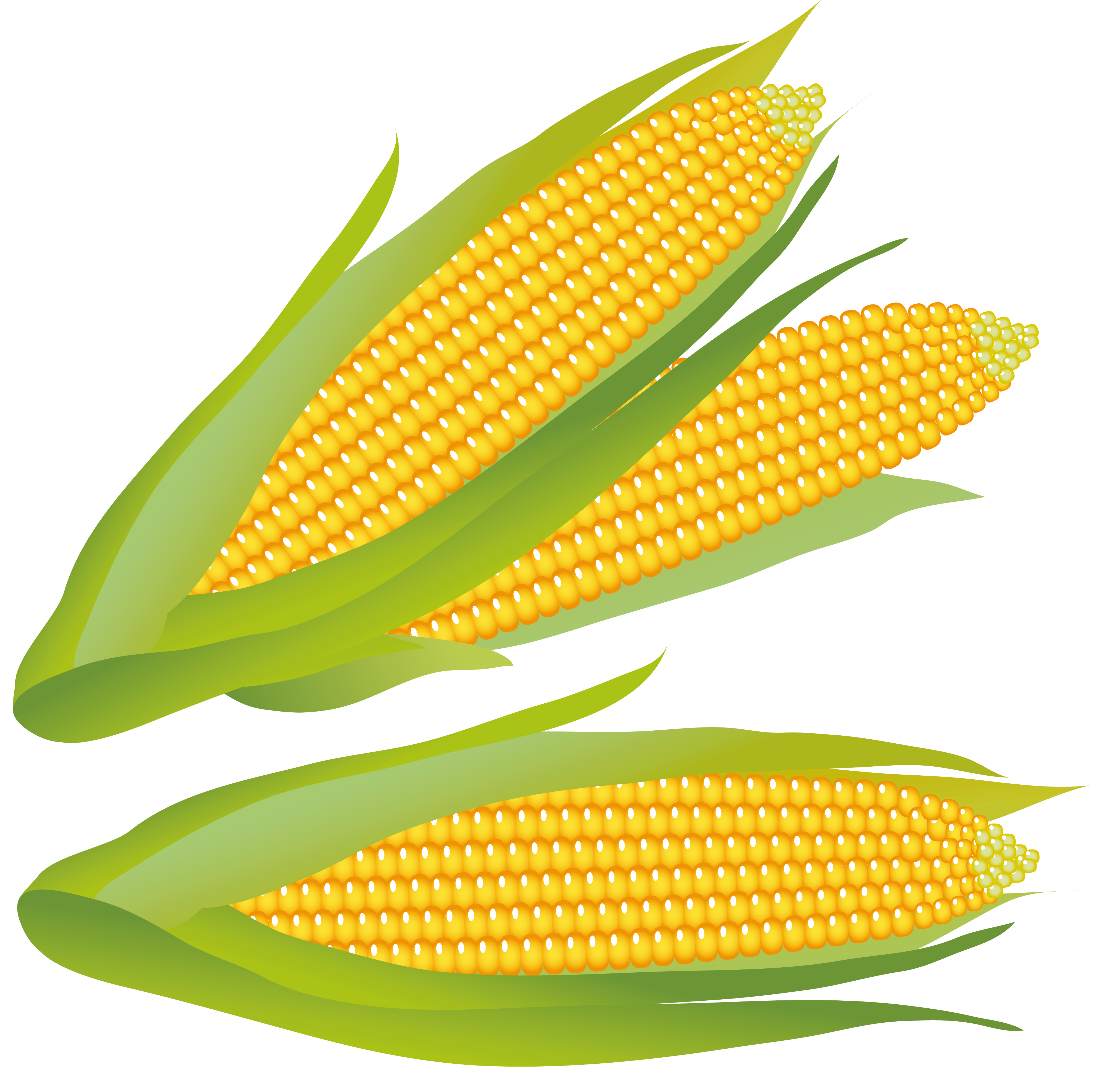 Corn Images Transparent Image Clipart