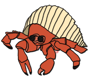 Hermit Crab Images Png Image Clipart