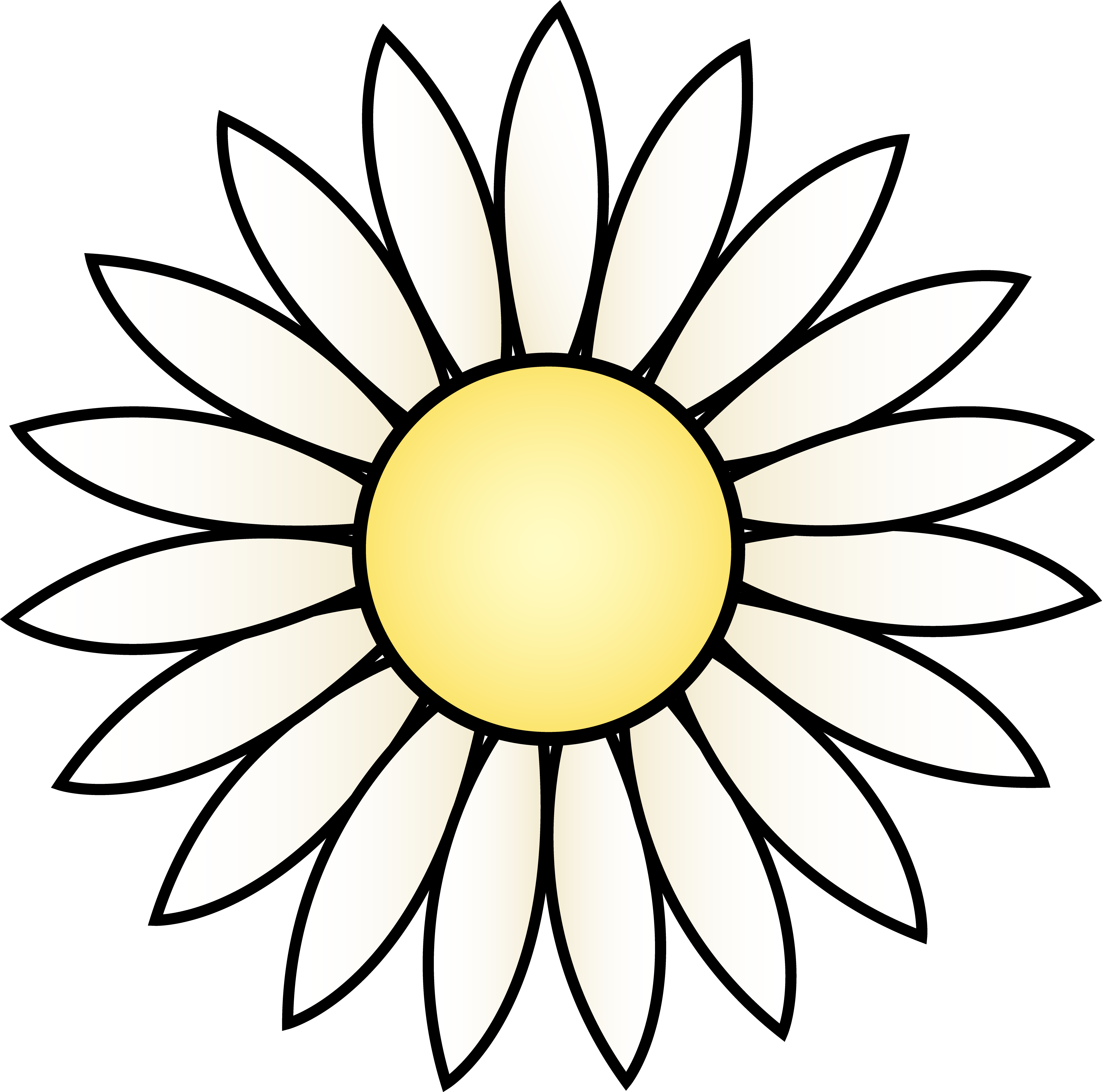 Daisy Images Hd Photo Clipart
