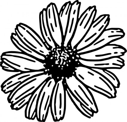 Daisy Vector Vector For Download About Clipart