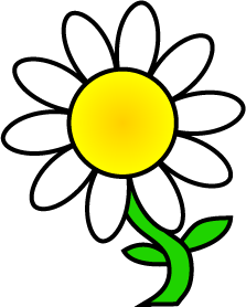 Daisy Images Hd Image Clipart