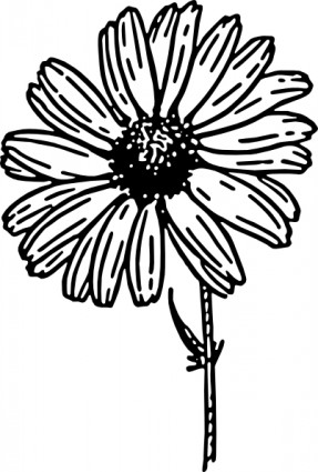 Daisy Vector In Open Office Drawing Svg Clipart