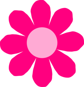 Pink Daisy Flower Images Image Png Clipart