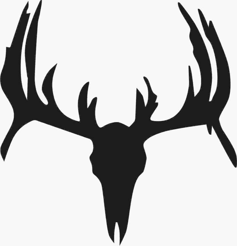 Deer Skull Free Download Clipart