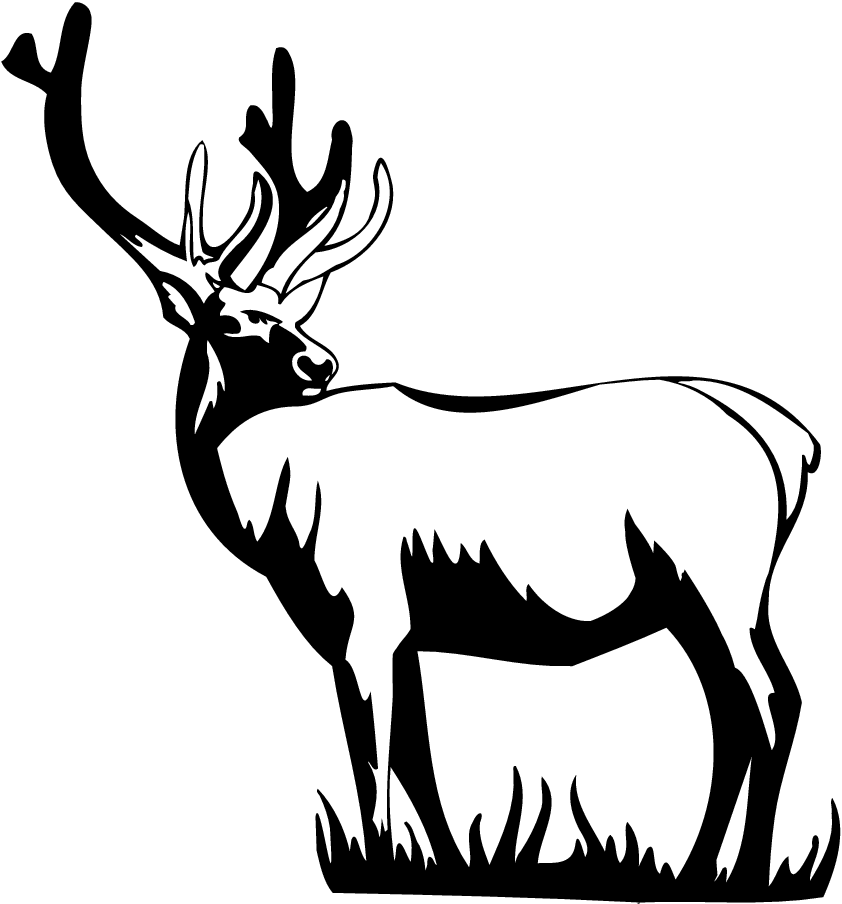 Nice Deer Downloadclipart Org Hd Photo Clipart