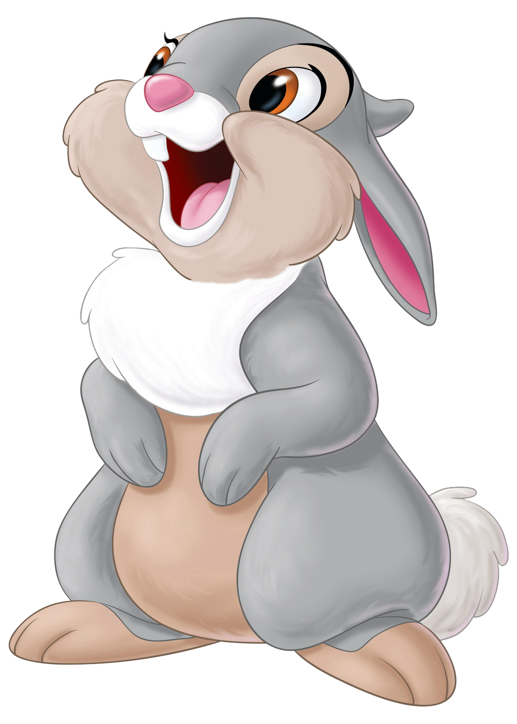Download Ariel Character Company Daisy Thumper Walt Rabbit Clipart PNG