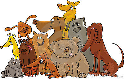 Group Of Dogs Hd Photos Clipart