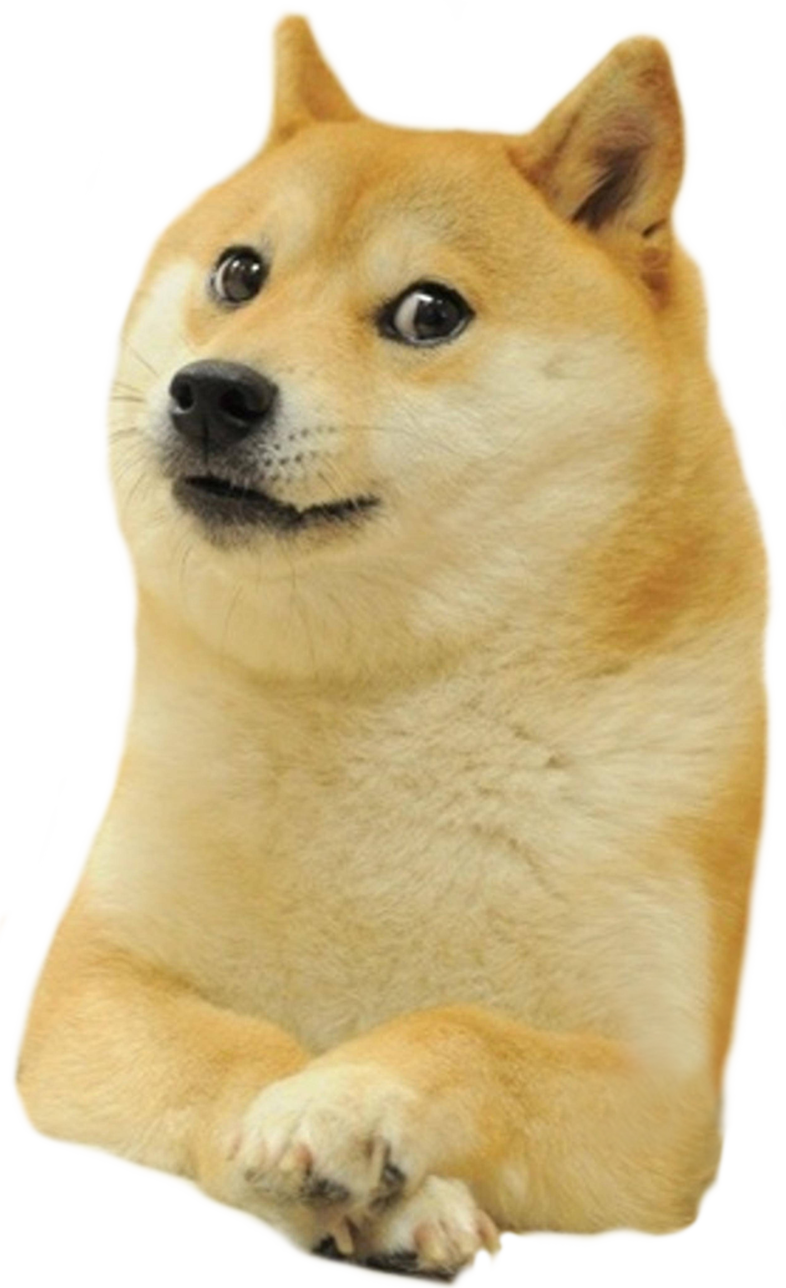 Shiba Deal Inu Doge It Dogecoin Warcraft Clipart