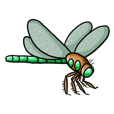 Free Dragonfly Free Download Clipart