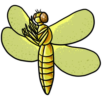Free Dragonfly Download Png Clipart